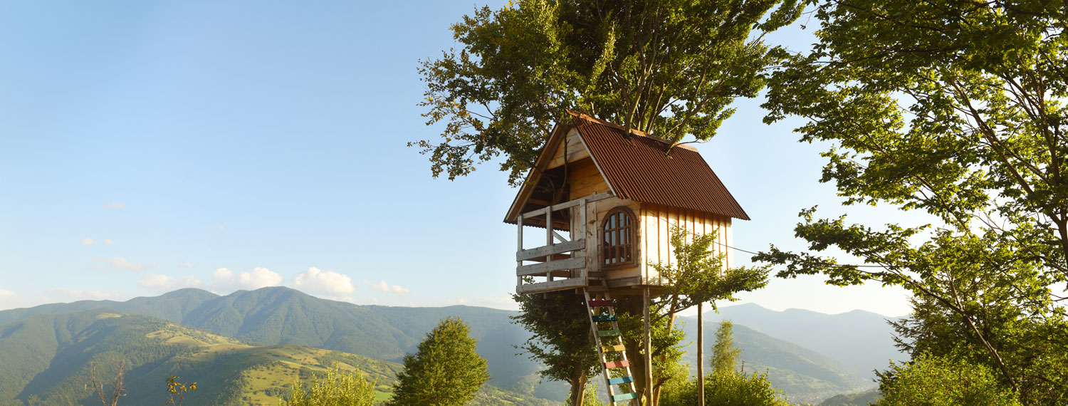 Maison-cabane perchée dans un arbre, une échelle en bois monte vers la maison perchée, en fond : un paysage de montagne recouverte d’une forêt vert foncé