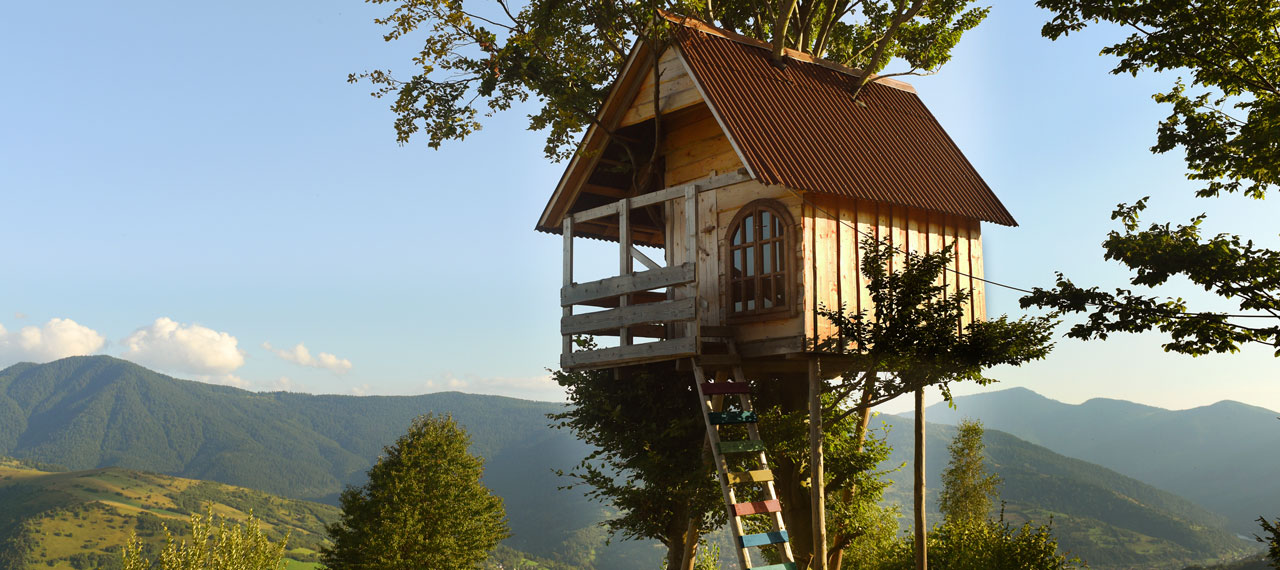 Maison-cabane perchée dans un arbre, une échelle en bois monte vers la maison perchée, en fond : un paysage de forêt de montagne