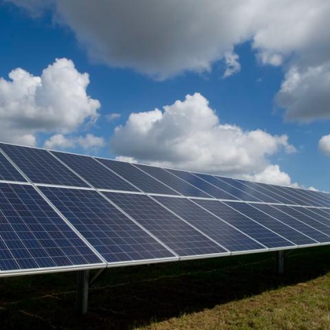 Panneaux solaires dans un champ sous un ciel bleu et nuageux.