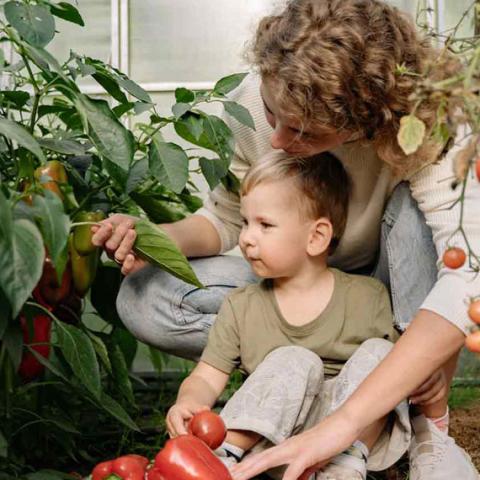 Une femme et un petit garçon sont accourpis dans un potager.