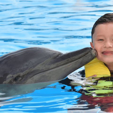 enfant avec un dauphin